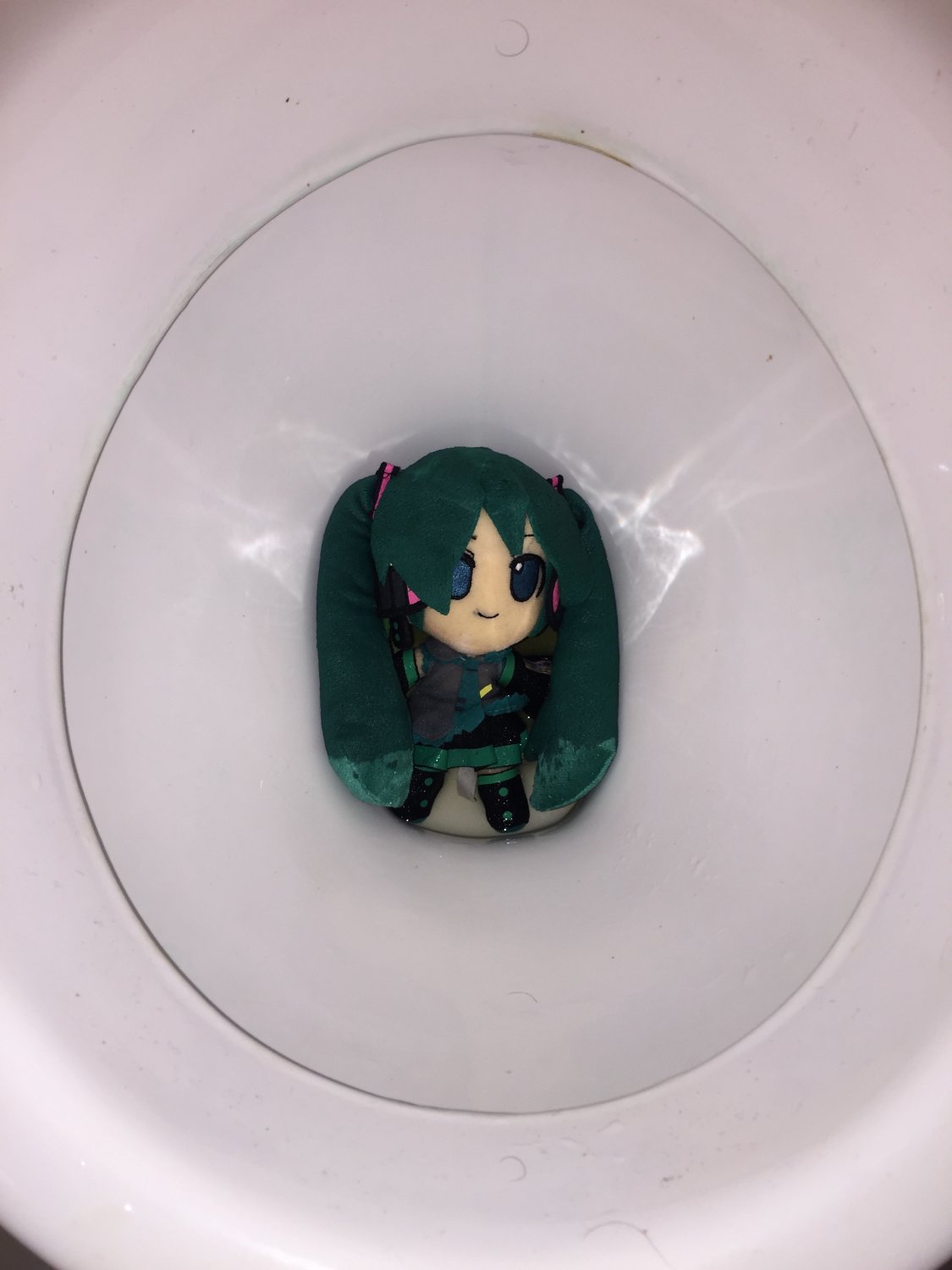 Hatsune Miku Plush POF #2 #IjaZqjZt